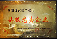 榮譽(yù)資質(zhì)2